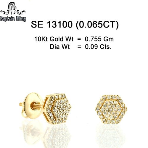 10KT GOLD DIAMOND EARRING 13100