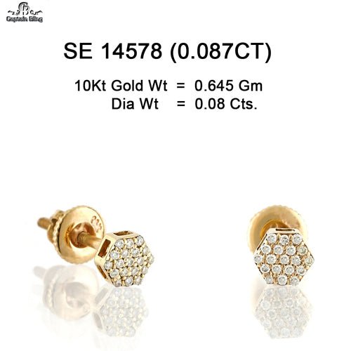 10KT GOLD DIAMOND EARRING 14578